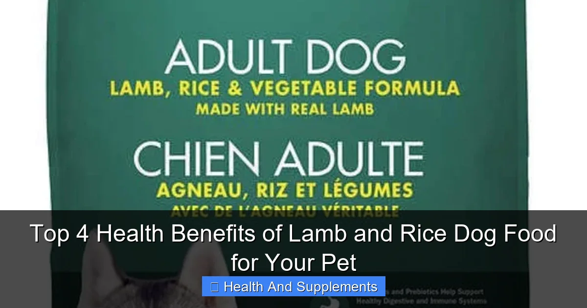 Top 4 Health Benefits of Lamb and Rice Dog Food for Your Pet