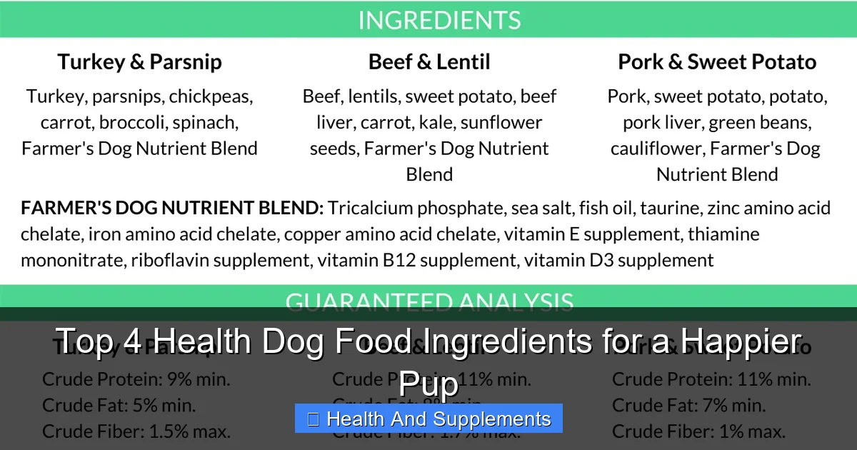 Top 4 Health Dog Food Ingredients for a Happier Pup
