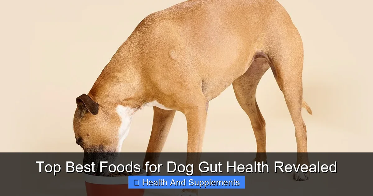 Top Best Foods for Dog Gut Health Revealed