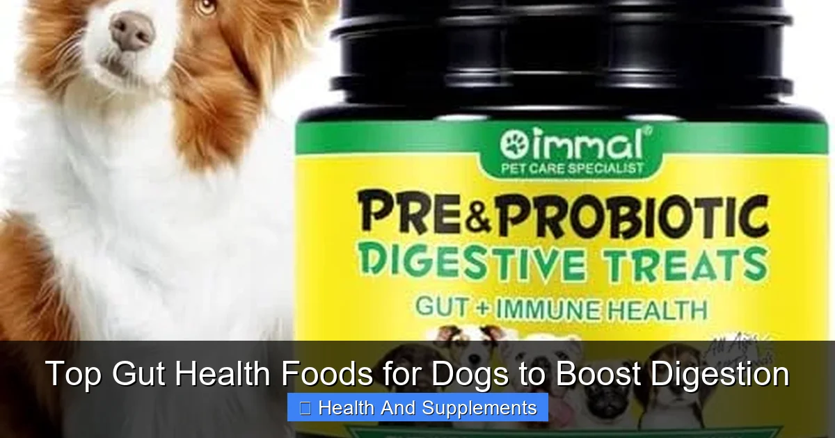 Top Gut Health Foods for Dogs to Boost Digestion