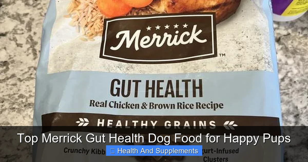 Top Merrick Gut Health Dog Food for Happy Pups