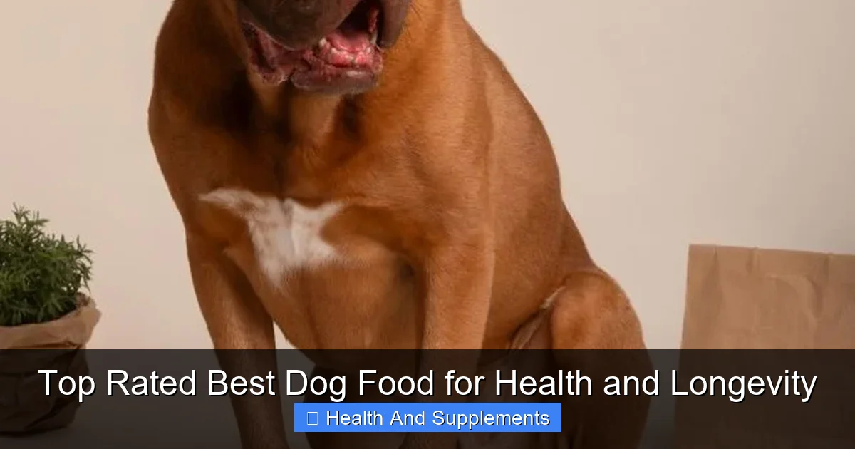 Top Rated Best Dog Food for Health and Longevity