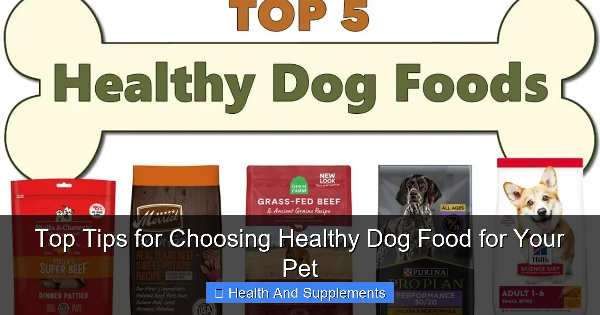 Top Tips for Choosing Healthy Dog Food for Your Pet