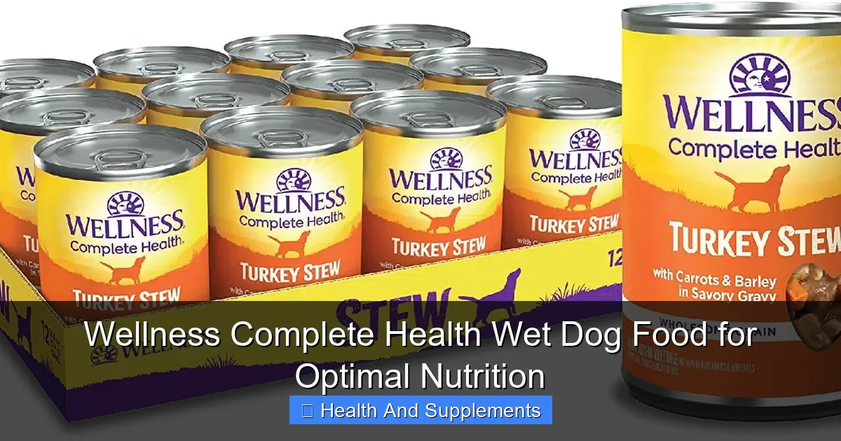 Wellness Complete Health Wet Dog Food for Optimal Nutrition