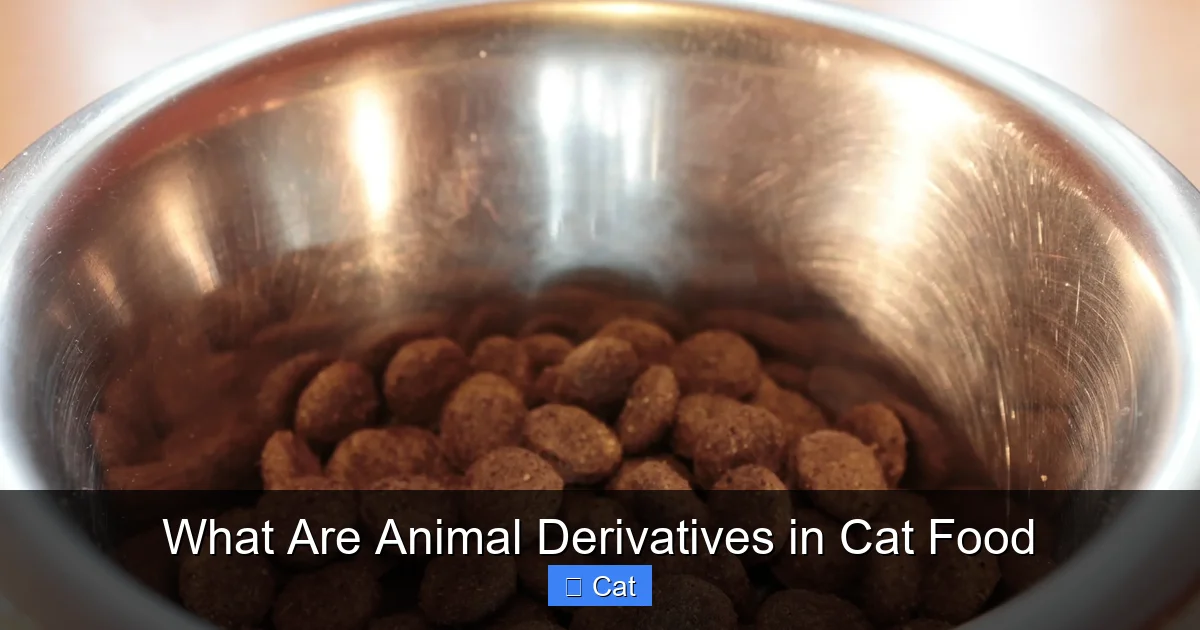 What Are Animal Derivatives in Cat Food
