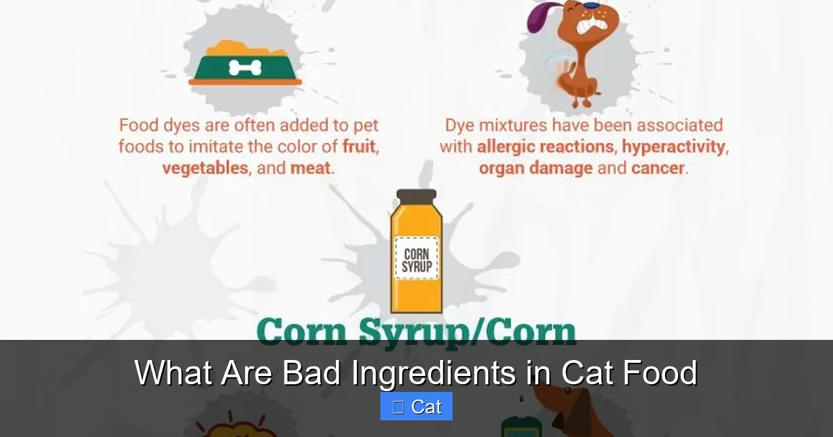 What Are Bad Ingredients in Cat Food