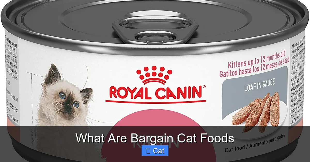 What Are Bargain Cat Foods