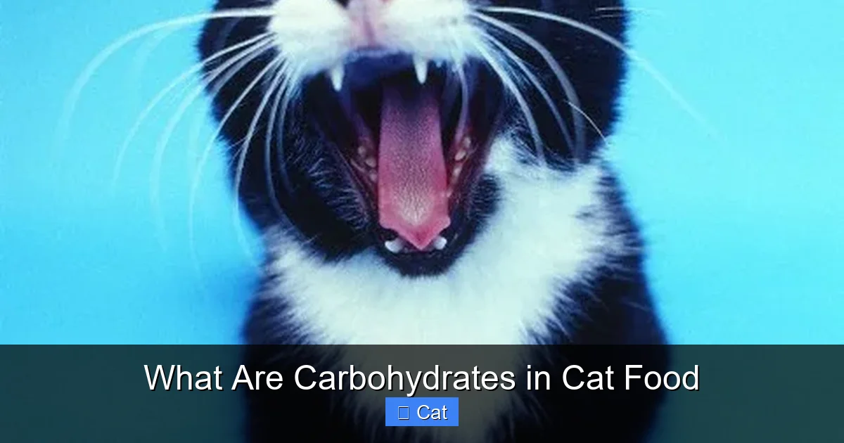 What Are Carbohydrates in Cat Food