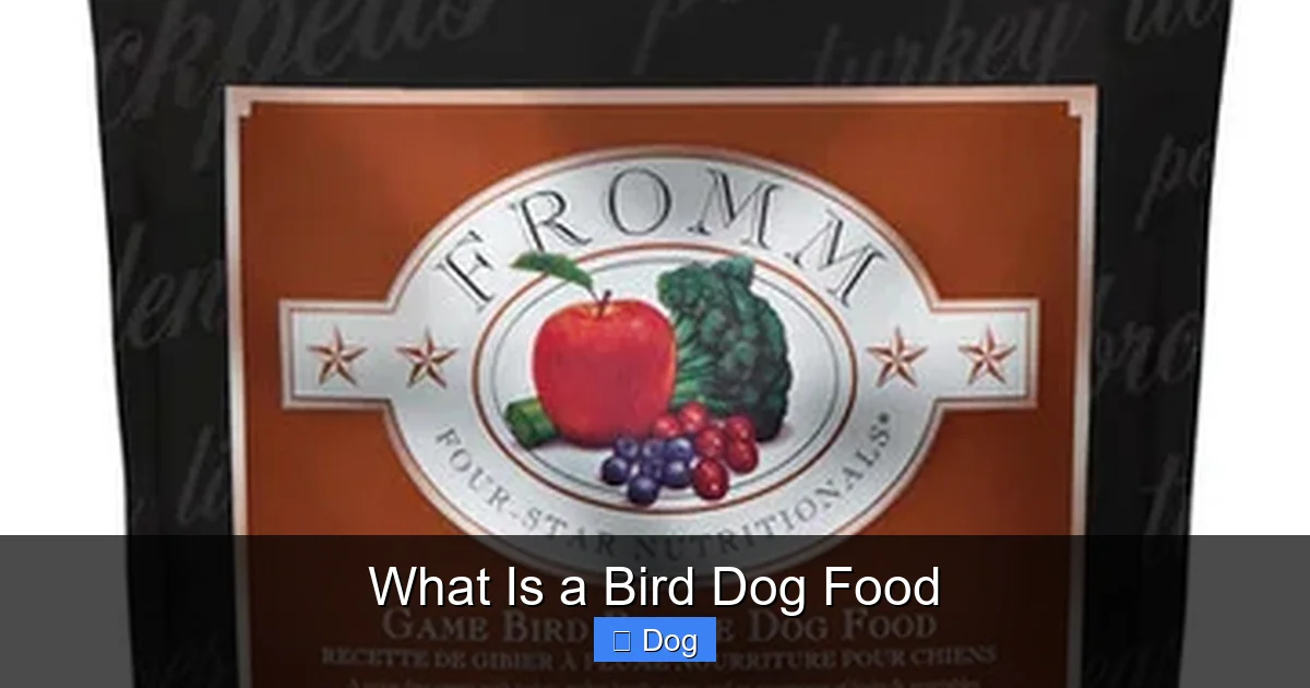 What Is a Bird Dog Food