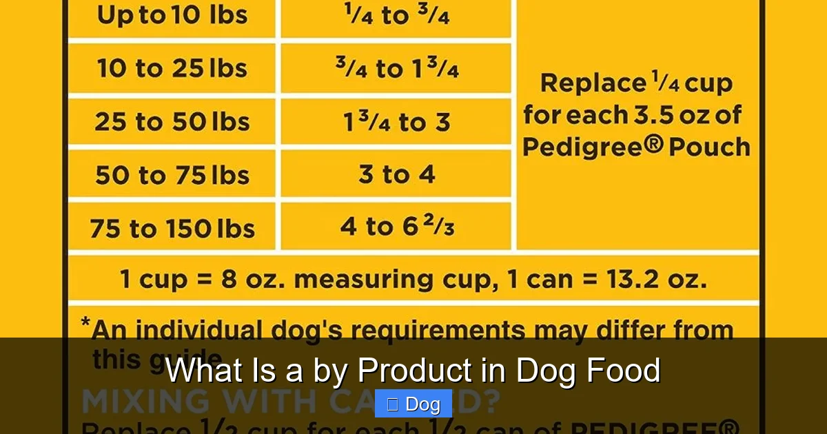 What Is a by Product in Dog Food