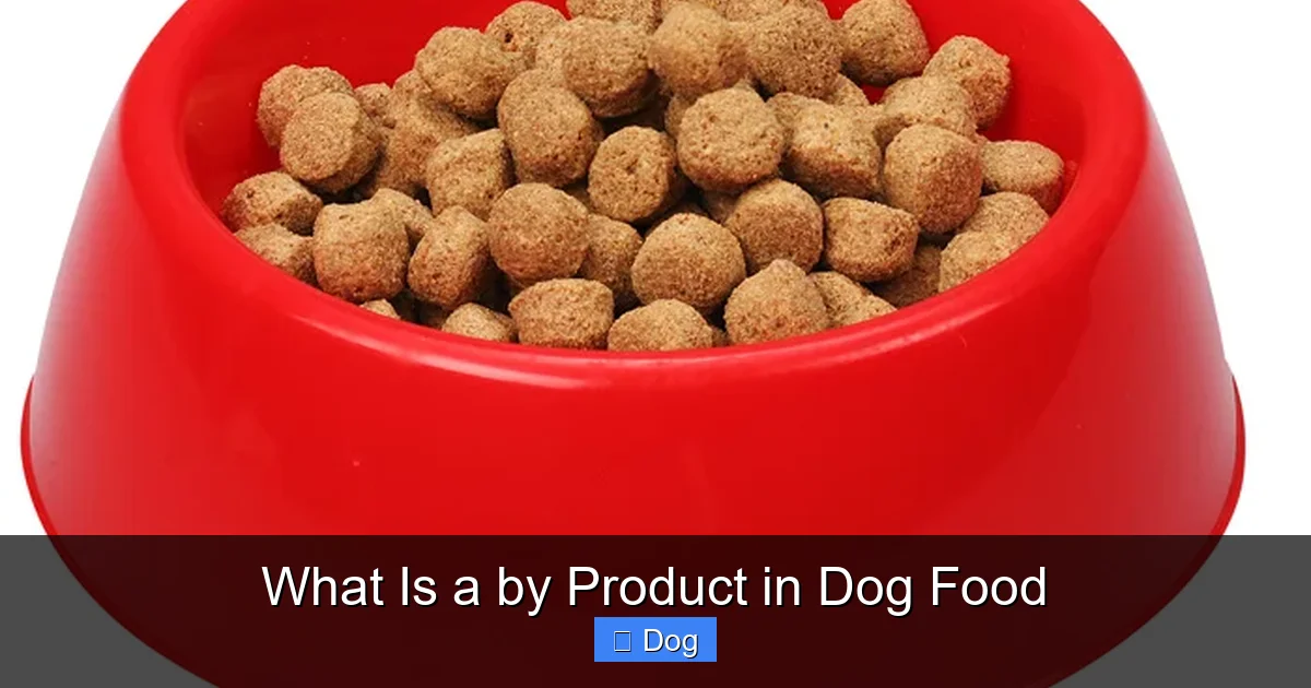 What Is a by Product in Dog Food