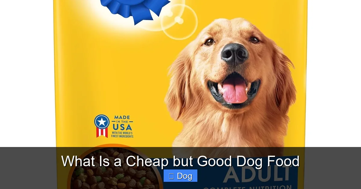 What Is a Cheap but Good Dog Food