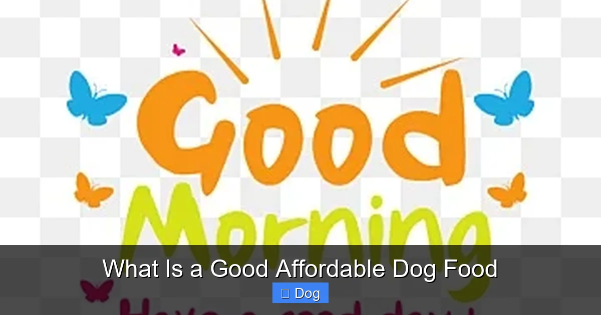 What Is a Good Affordable Dog Food